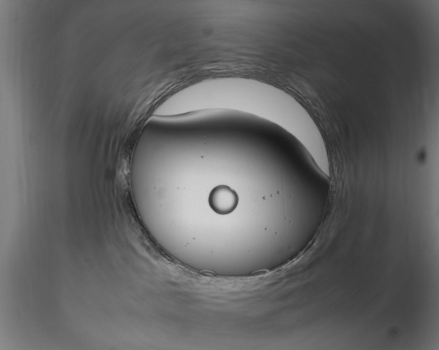 X0000116330045200912151315