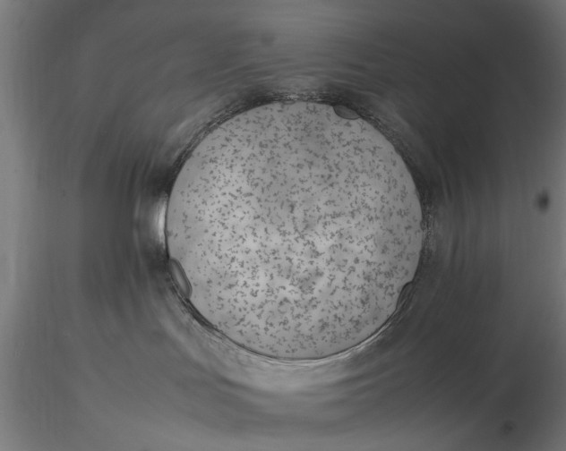 X0000116330047200912151315