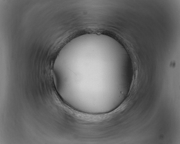 X0000116330048200912151315