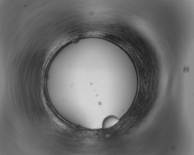 X0000116330049200912151314