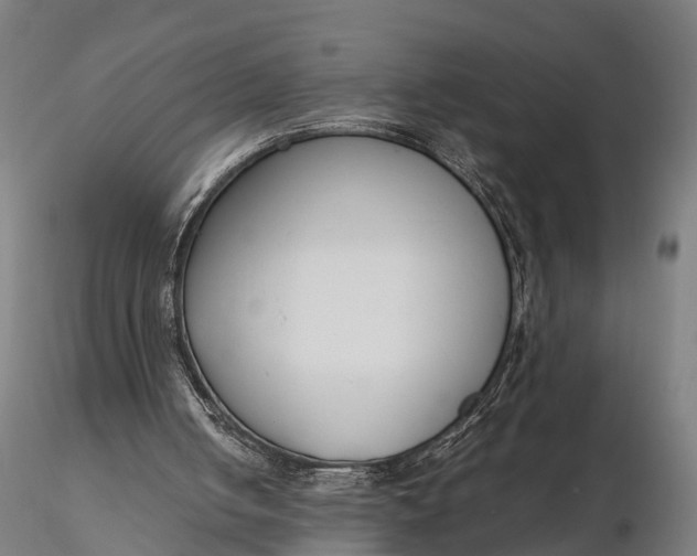 X0000116330050200912151314