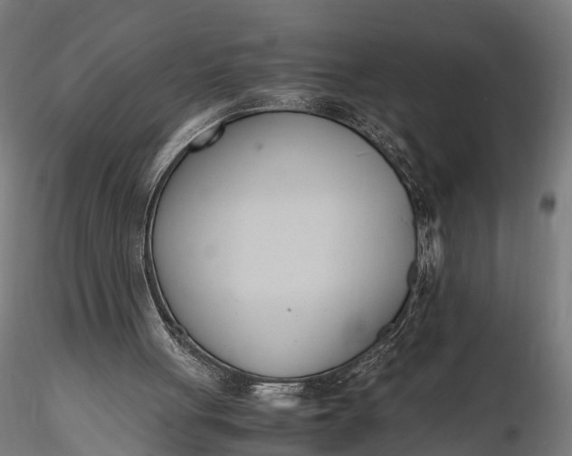 X0000116330051200912151314