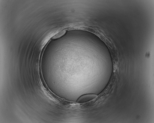 X0000116330052200912151314