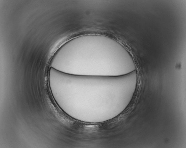 X0000116330053200912151314