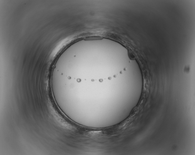 X0000116330054200912151314