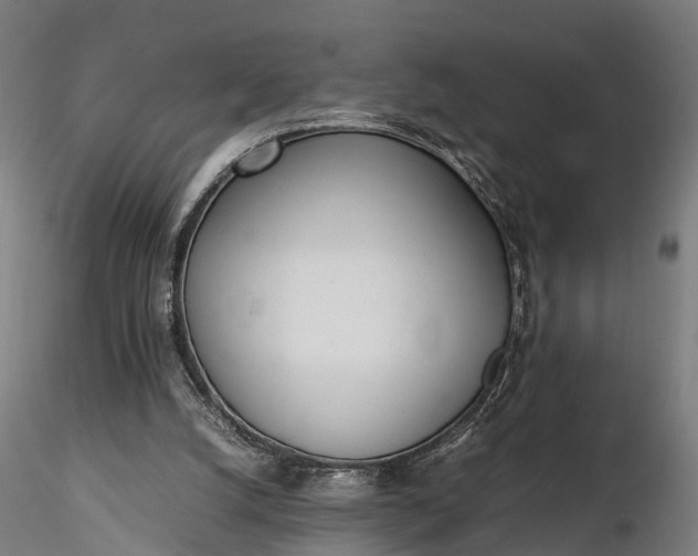 X0000116330056200912151314