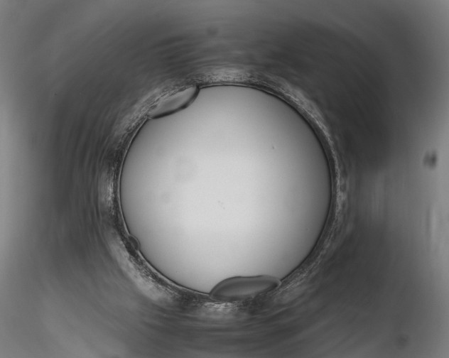 X0000116330057200912151314