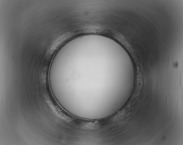 X0000116330058200912151314