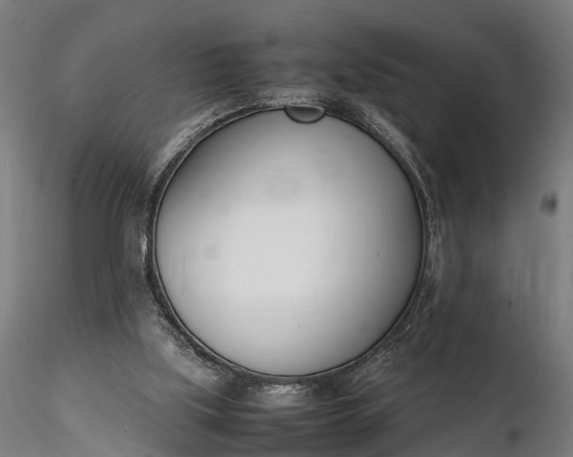 X0000116330059200912151314