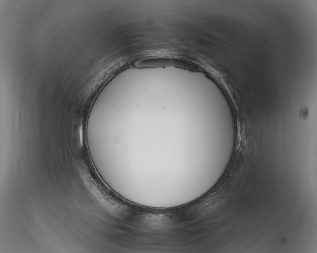 X0000116330061200912151314