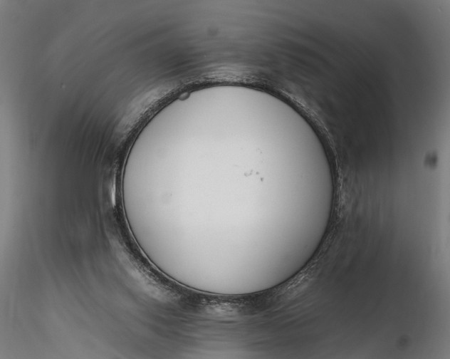 X0000116330062200912151314