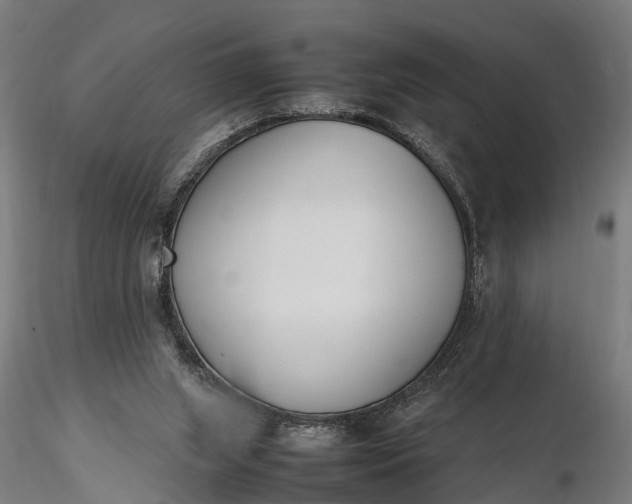 X0000116330063200912151314