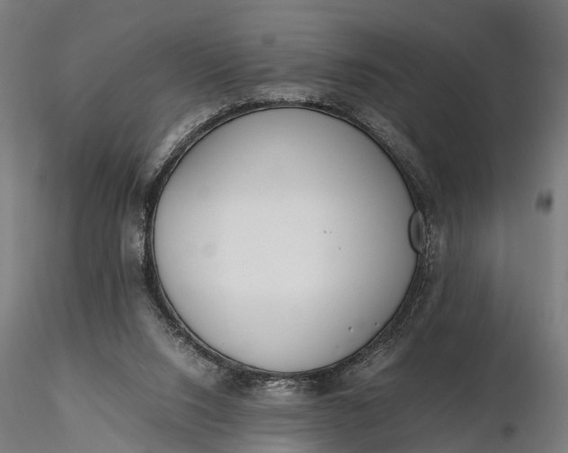 X0000116330064200912151314