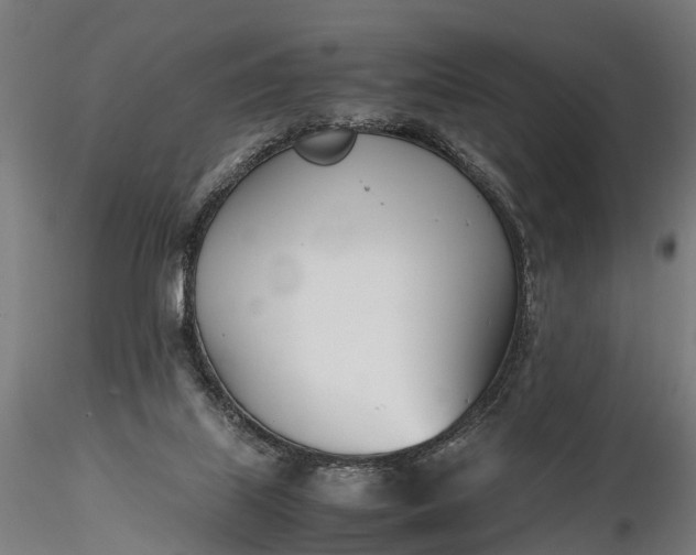 X0000116330067200912151314