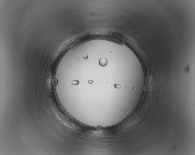 X0000116330068200912151314