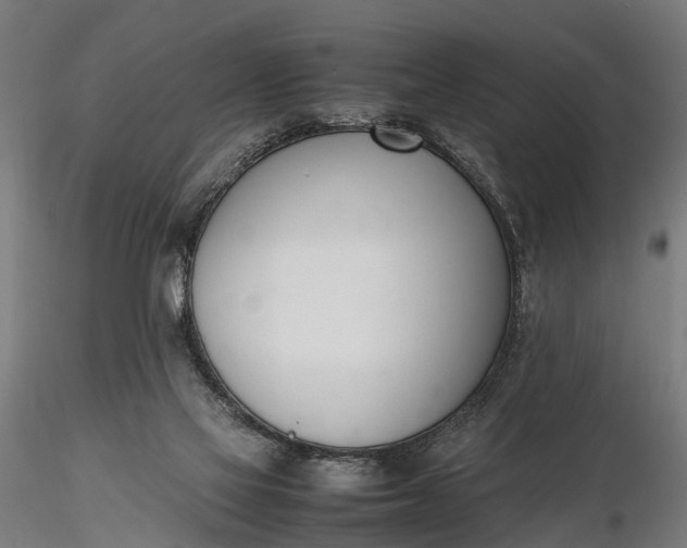 X0000116330069200912151314