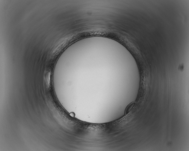 X0000116330070200912151314