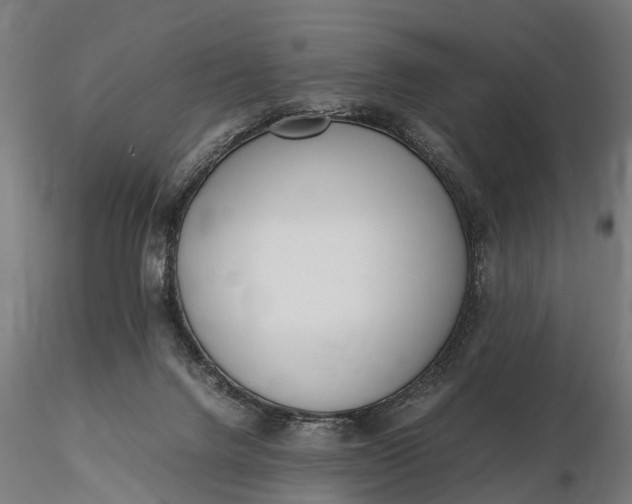 X0000116330072200912151314