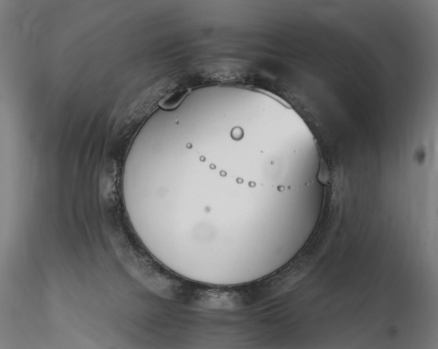 X0000116330073200912151314