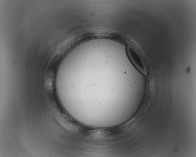 X0000116330074200912151314