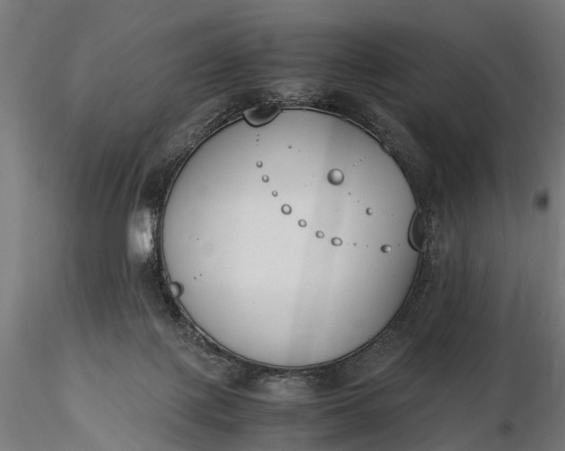 X0000116330075200912151314