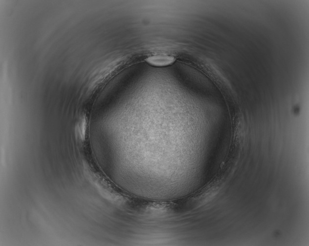 X0000116330076200912151314