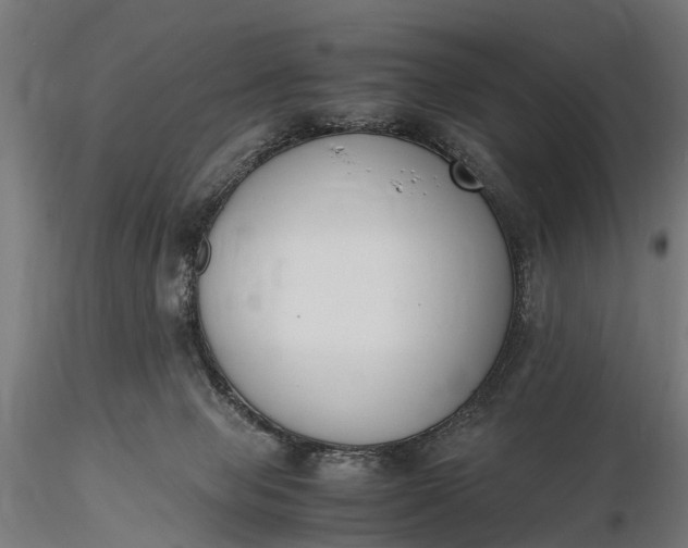 X0000116330077200912151314