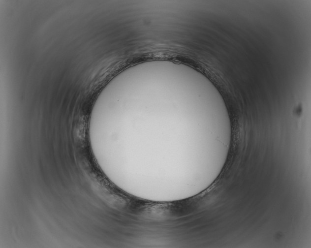 X0000116330078200912151315