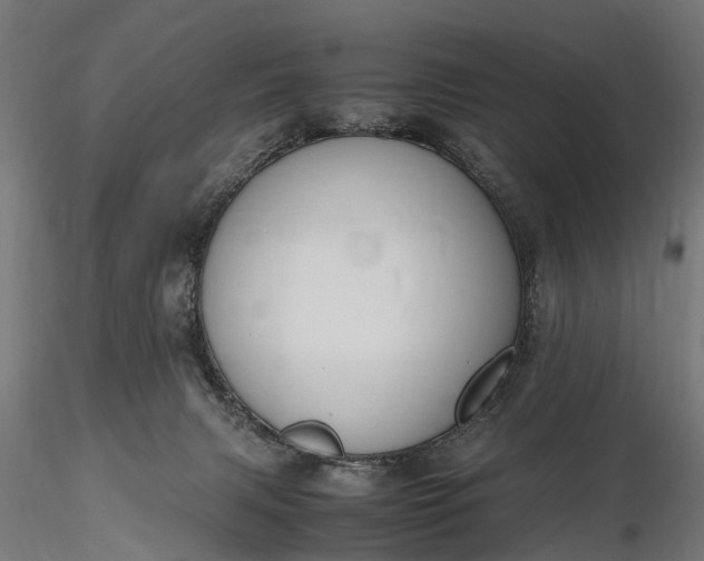 X0000116330079200912151315