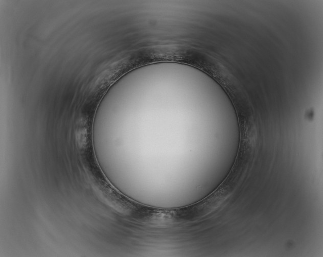 X0000116330080200912151315