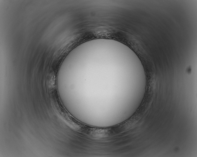 X0000116330081200912151315