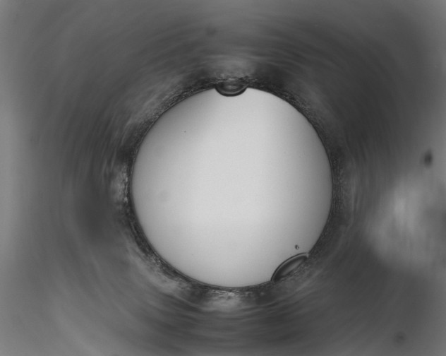 X0000116330083200912151315