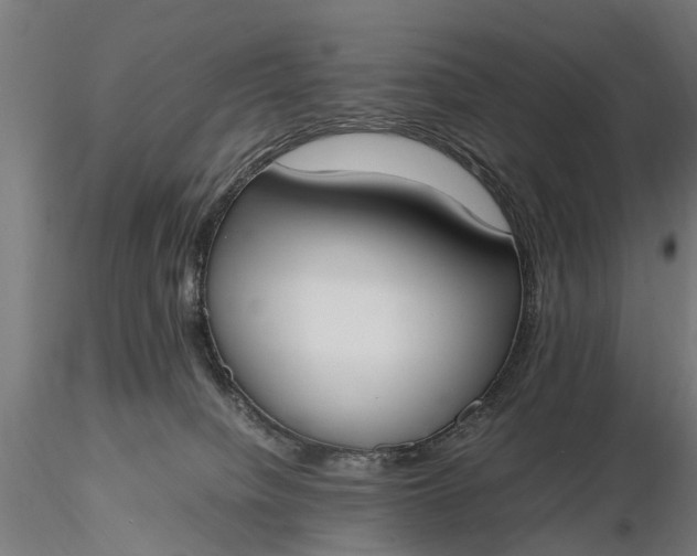 X0000116330084200912151315