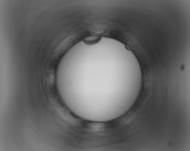 X0000116330085200912151315