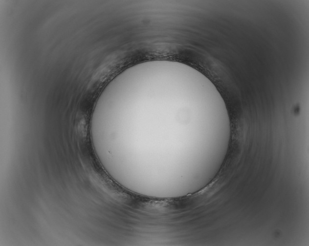 X0000116330086200912151315