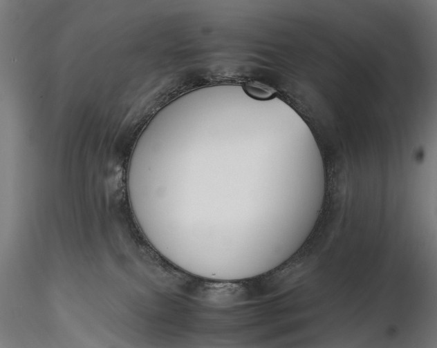 X0000116330087200912151315