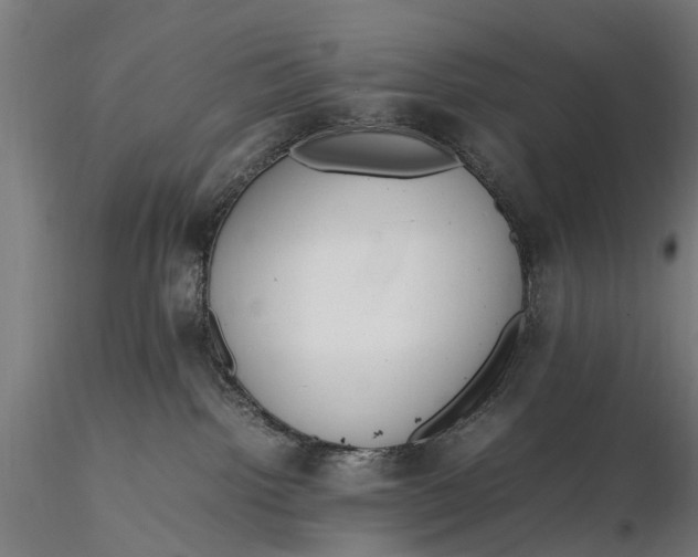 X0000116330092200912151315