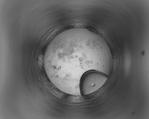 X0000116330093200912151315