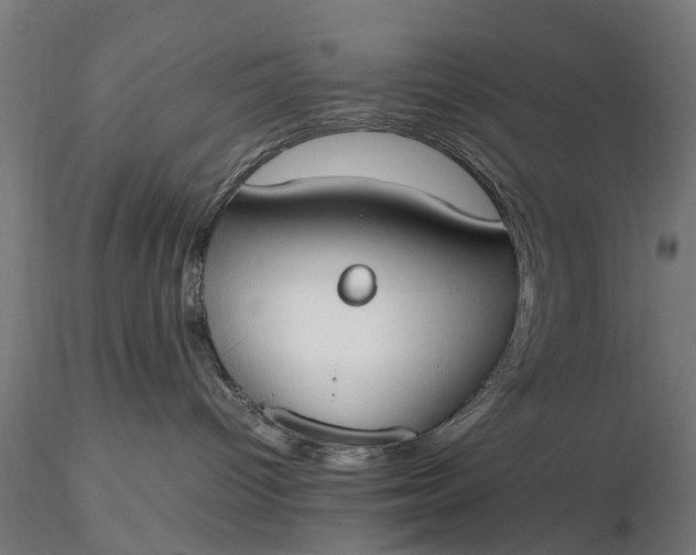 X0000116330096200912151315