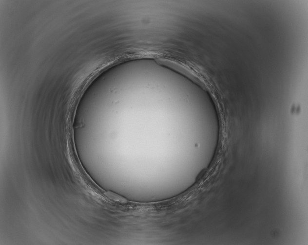 X0000116330097200912151314