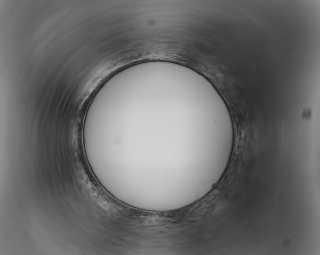 X0000116330098200912151314