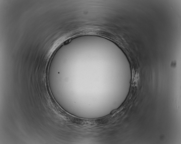 X0000116330099200912151314