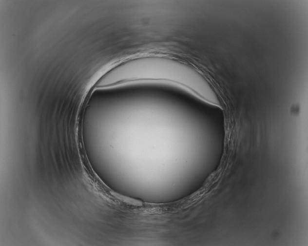 X0000116330100200912151314