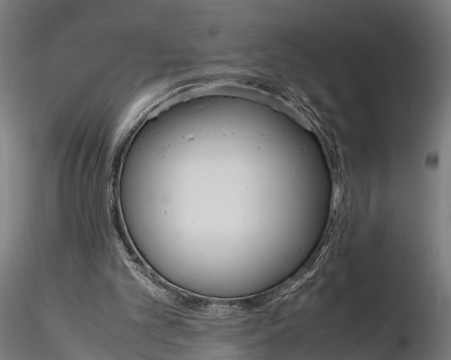 X0000116330101200912151314