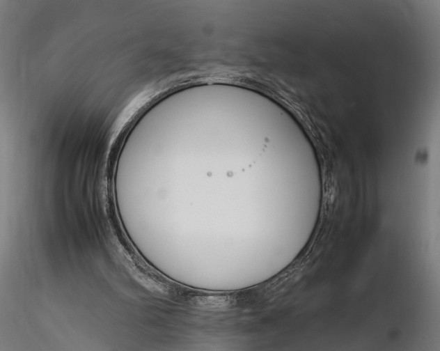 X0000116330102200912151314