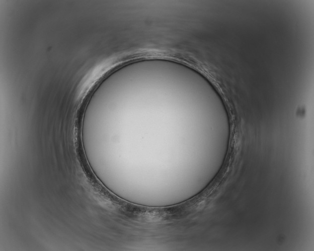 X0000116330103200912151314