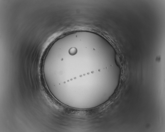 X0000116330104200912151314