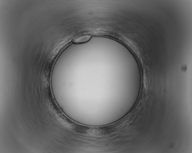 X0000116330105200912151314