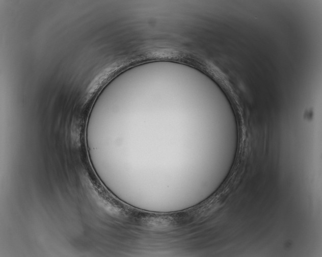 X0000116330106200912151314