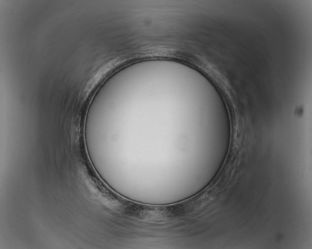 X0000116330107200912151314